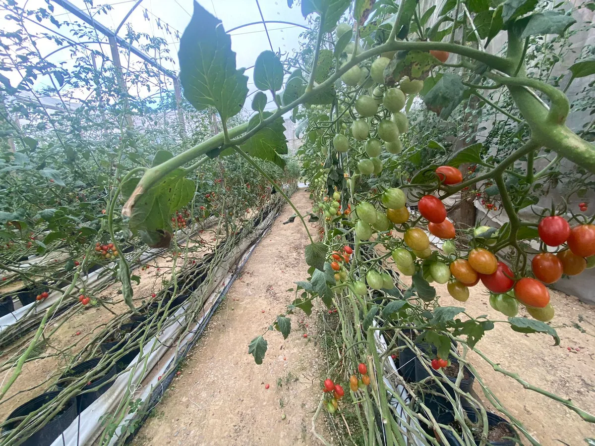 Foto 2