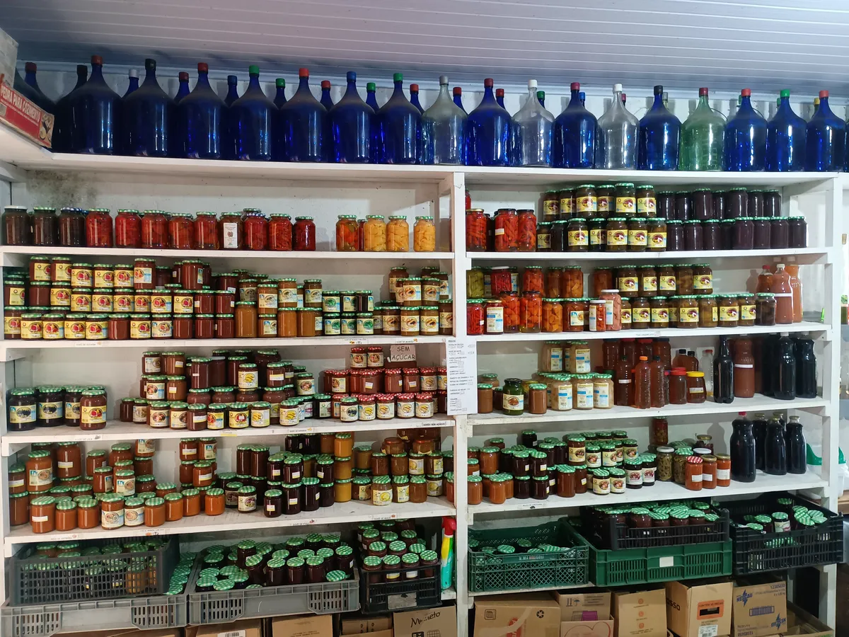 Foto 2