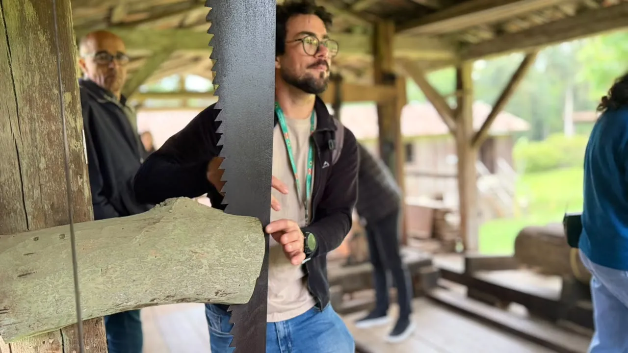 Guia mostra como funciona a serraria