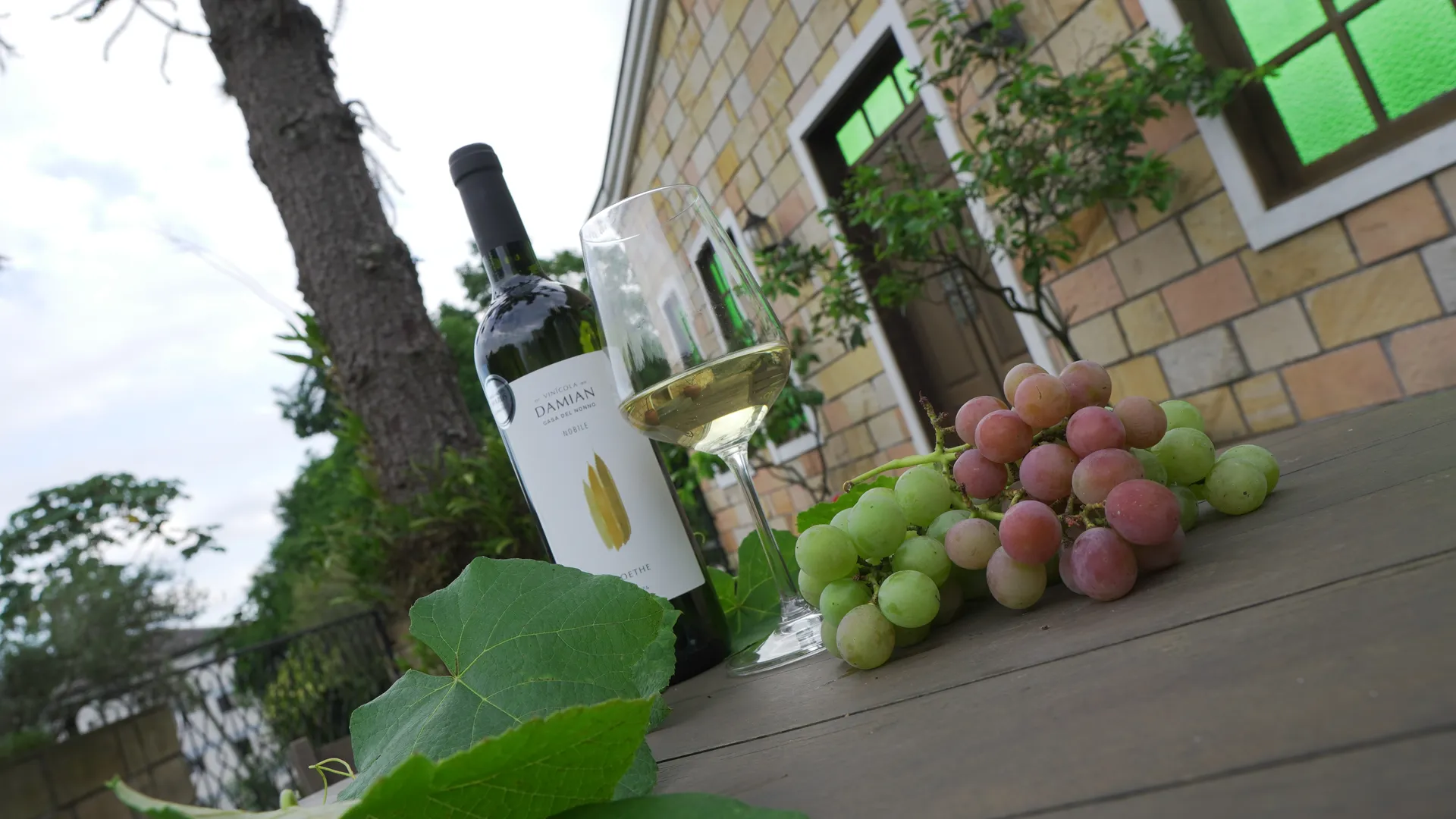 garrafa de vinho, taça e cacho de uva