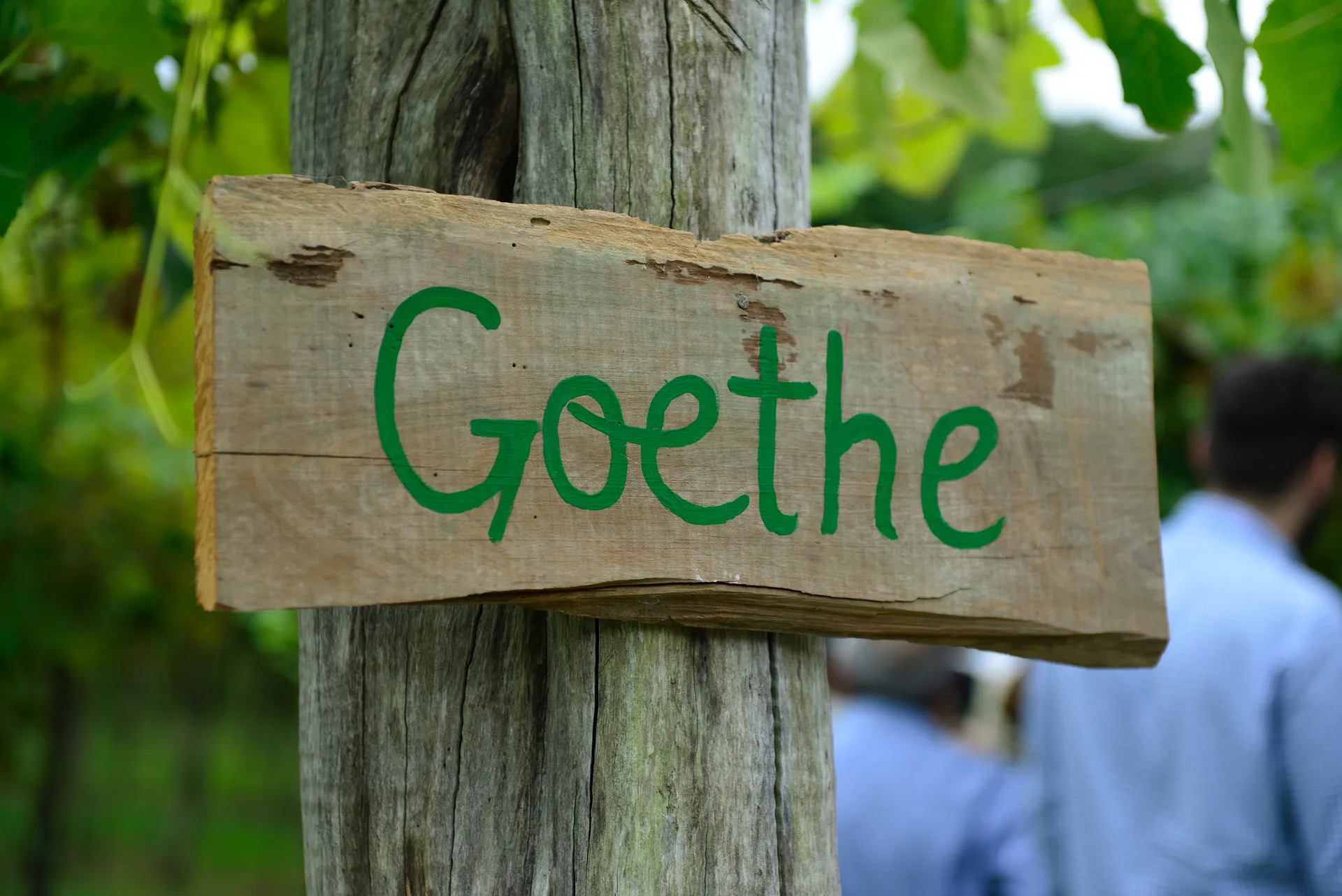 Placa de madeira com a palavra “Goethe” escrita em verde, em meio a uma área de vegetação, com uma pessoa desfocada ao fundo.