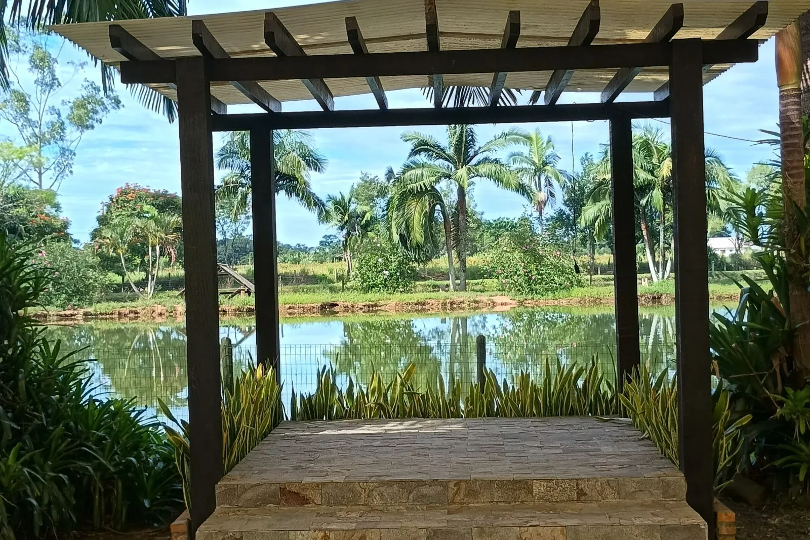 Foto 2
