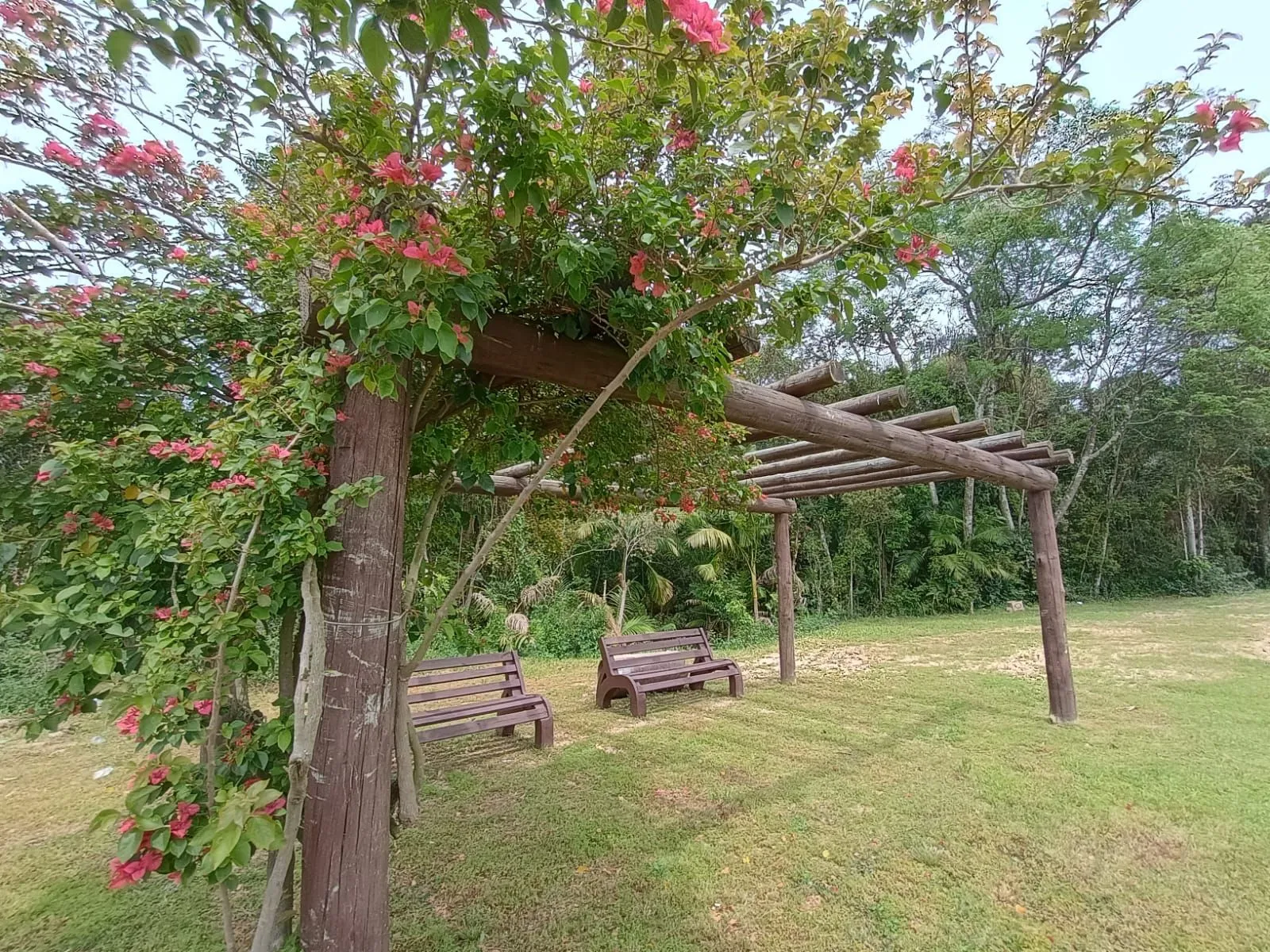 Foto 3