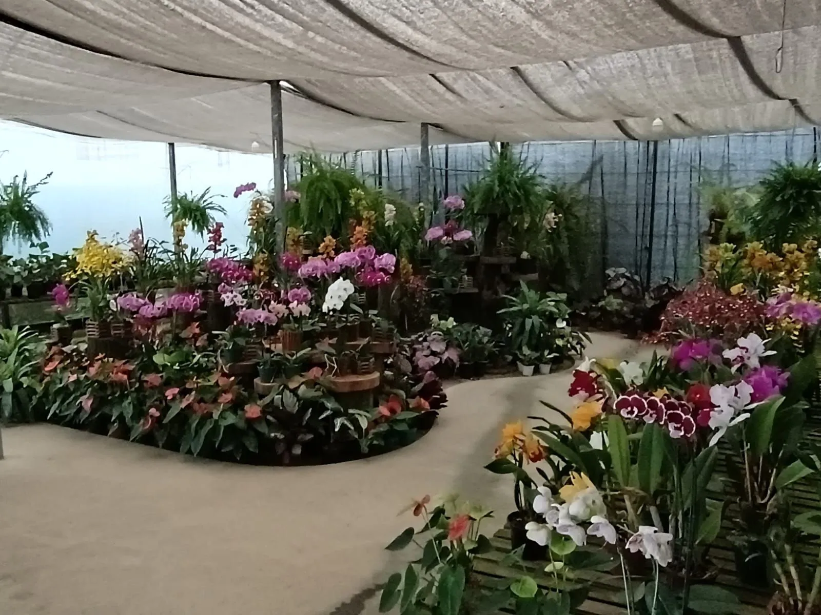Foto 2